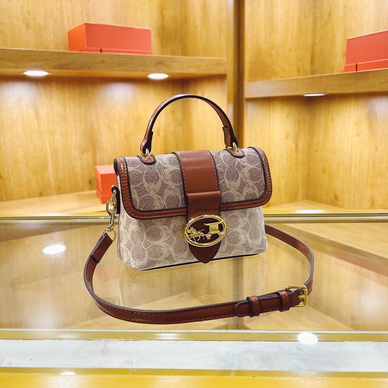 Designer French Niche for Women 2025 New Fashion Printed Shoulder Handheld Small Square Light Luxury Women's Bag