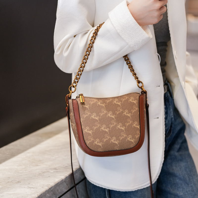 Designer High-End Small for Women 2025 New Chain Printed Bucket Versatile Elegant Fashion Shoulder Crossbody Light Luxury Women's Bag