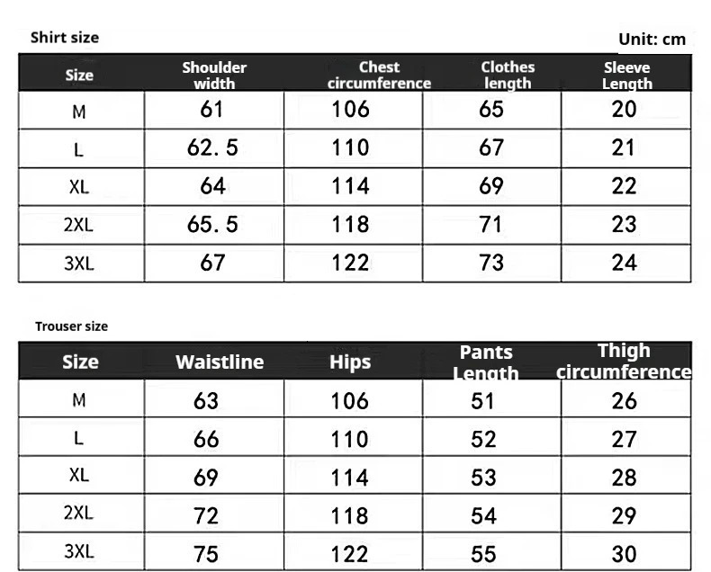 2025 Mens Casual Short Sleeve Set Summer Lightweight Sportswear Retro Fashion Two Piece Suit Street 250708
