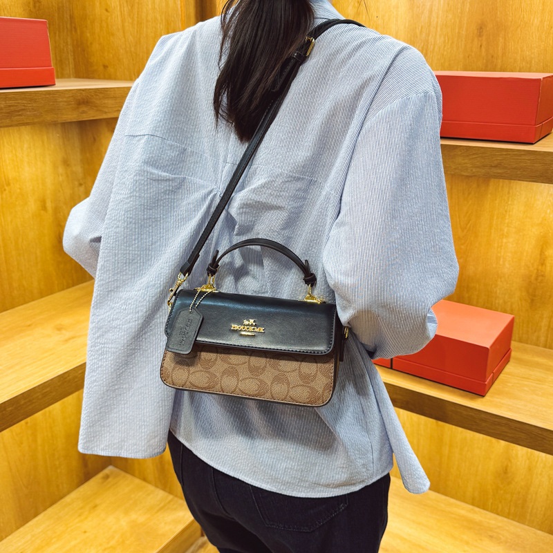 Designer High-End Feel for Women 2025 New Printed Handbag Versatile Fashion Elegant Shoulder Crossbody Light Luxury Women's Bag