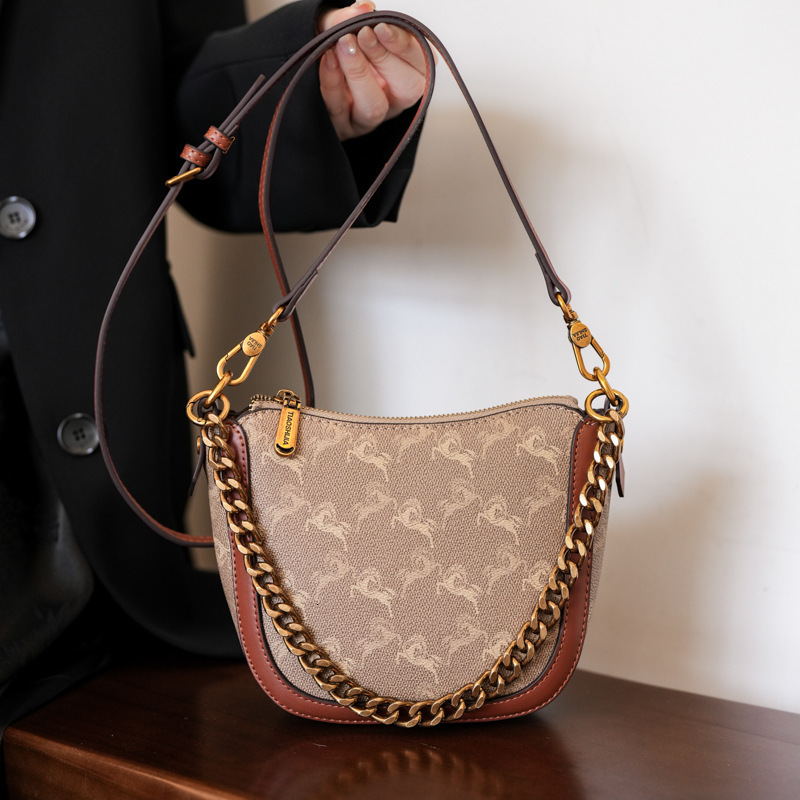 Designer High-End Small for Women 2025 New Chain Printed Bucket Versatile Elegant Fashion Shoulder Crossbody Light Luxury Women's Bag
