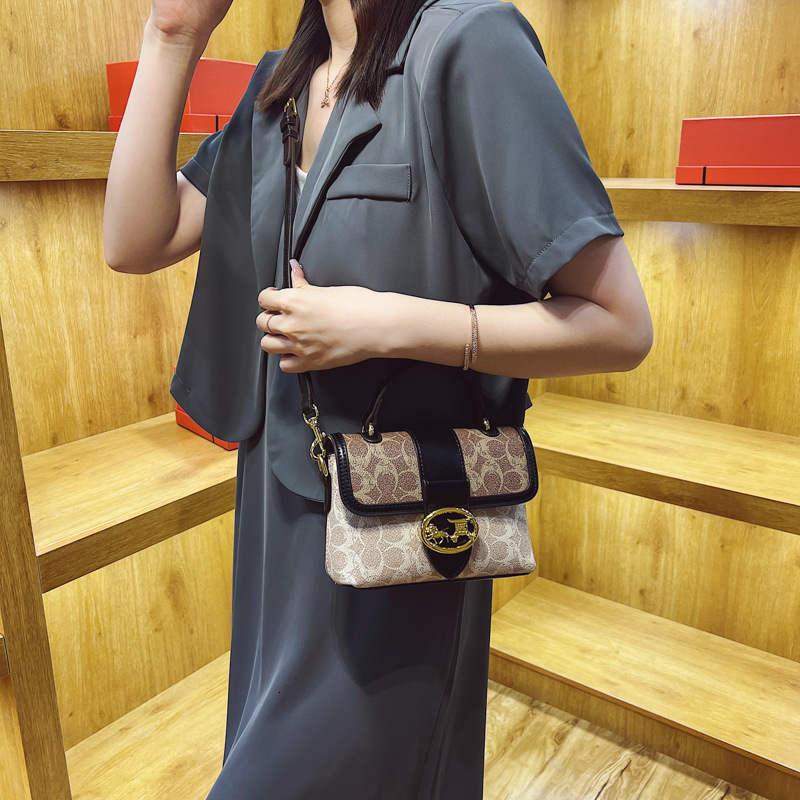 Designer French Niche for Women 2025 New Fashion Printed Shoulder Handheld Small Square Light Luxury Women's Bag