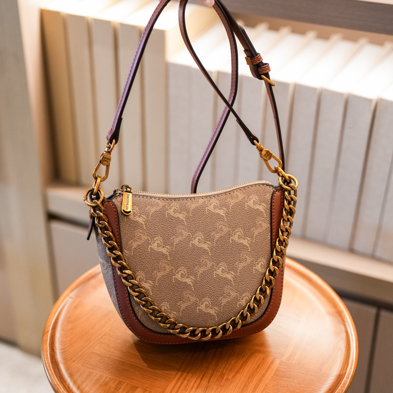 Designer High-End Small for Women 2025 New Chain Printed Bucket Versatile Elegant Fashion Shoulder Crossbody Light Luxury Women's Bag