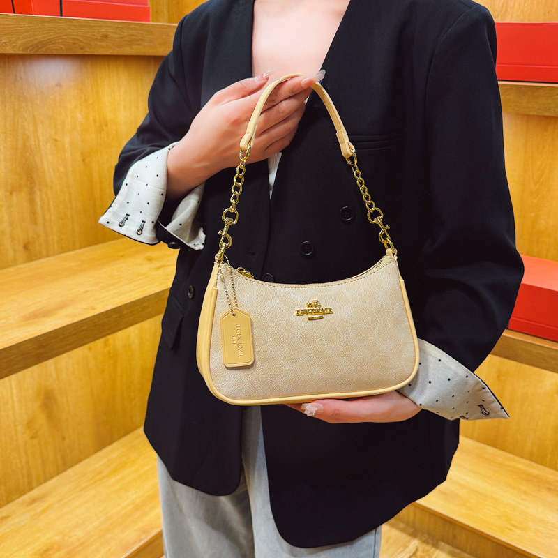 Designer High-End Feel Printed Chain 2025 New Style Versatile Fashion Elegant Shoulder Crossbody Light Luxury Women's Bag