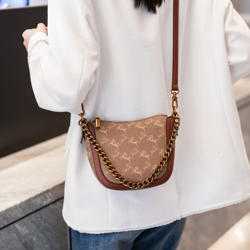 Designer High-End Small for Women 2025 New Chain Printed Bucket Versatile Elegant Fashion Shoulder Crossbody Light Luxury Women's Bag
