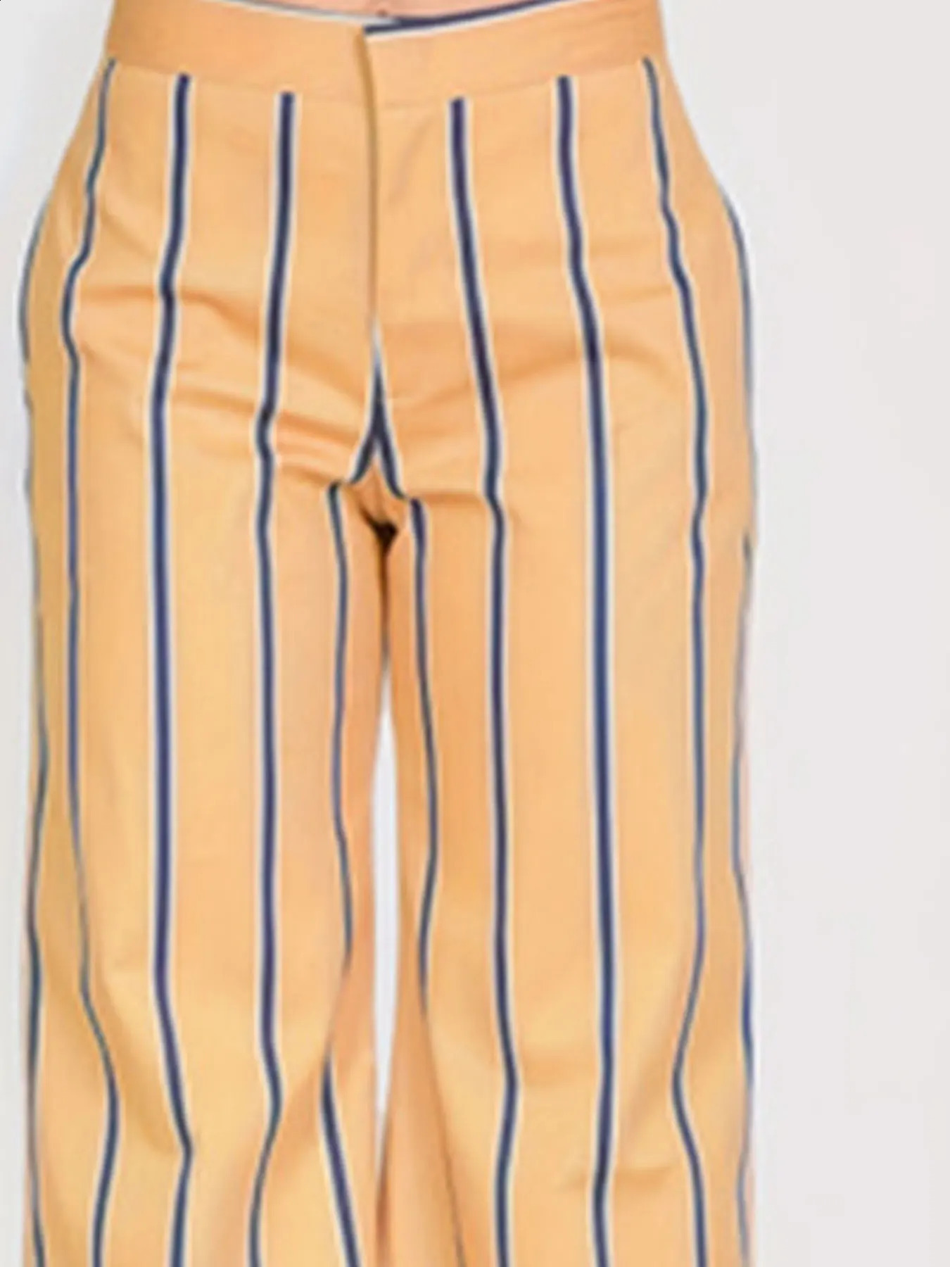 Womens Elegant Pants Plus Size Striped Print Zip Up Straight Leg Loose Trousers 250628