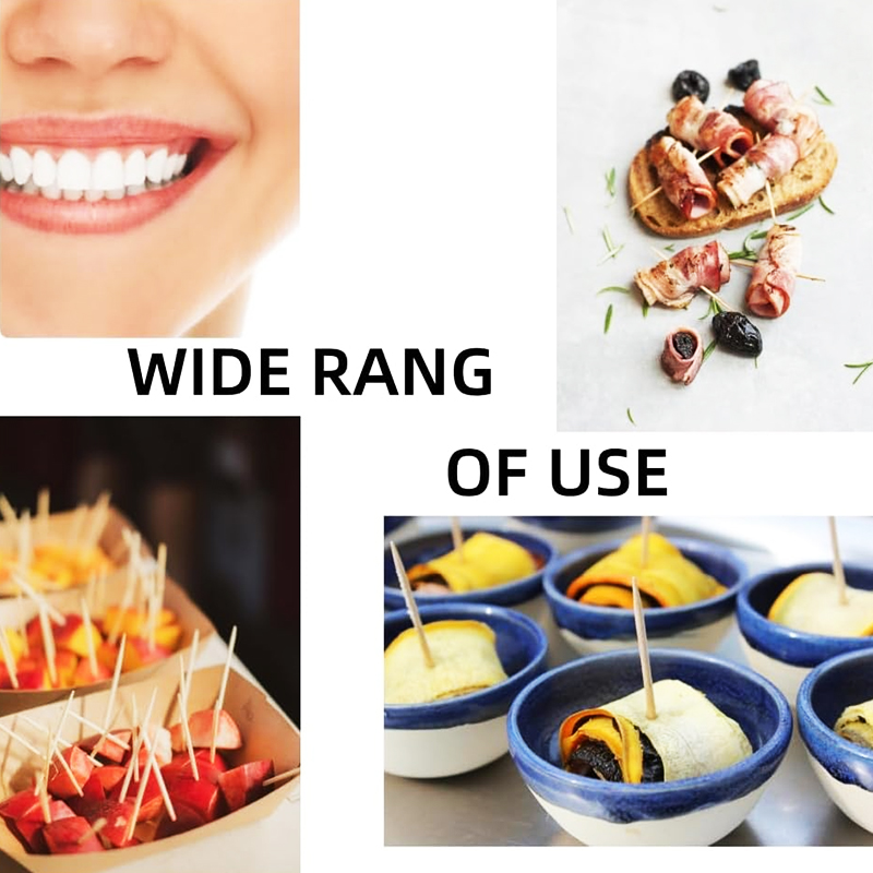 Durable White Offsetting Paper-Wrapped Dentistry Toothpicks one thousand per box toothpick