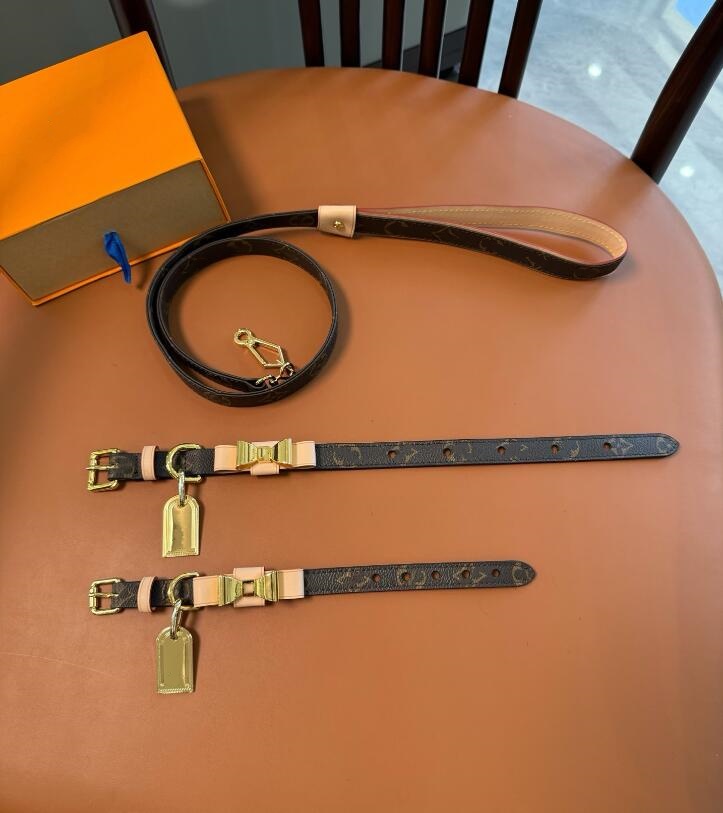2 piece set designer Classic letter print pattern pet tie set cowhide color changing leather pet collar adjustable traction rope dog walking rope neck loop with box
