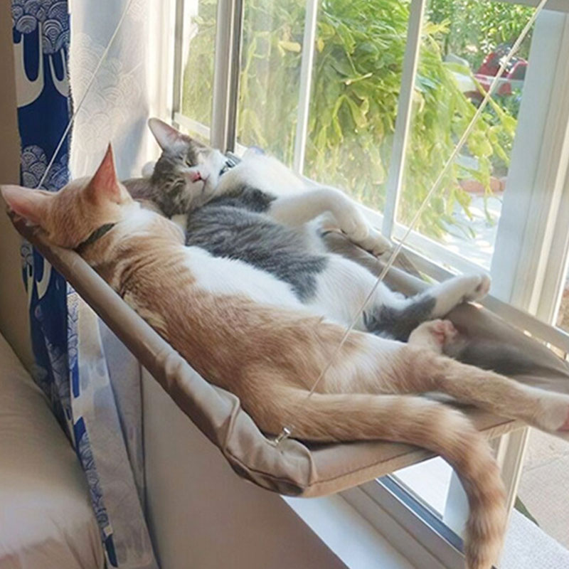 20KG Pet Cat Hammock Hanging Cat Bed Bearing Comfortable Cat Sunny Window Seat Mount Kitten Climbing Frame Pet Accessories
