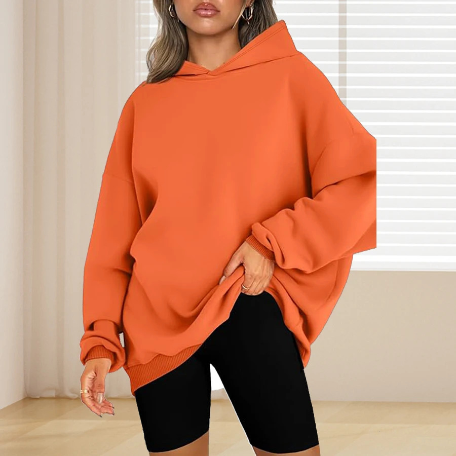 Plus Size Basic Solid Color Hoodie Casual Simple Long Sleeve Hooded Sweatshirt Womens Clothing 250709