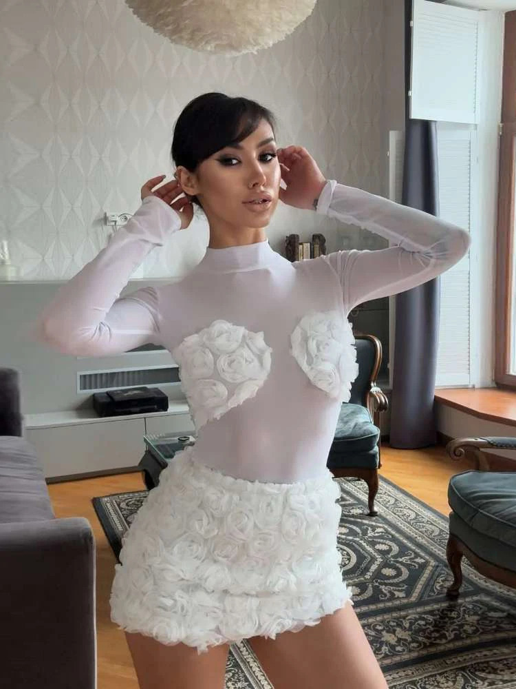 2 Piece Matching Women Appliques Set Mesh Sheer Patchwork Full Sleeve BodysuitsMini Skirts Female French Festival Suits 250709