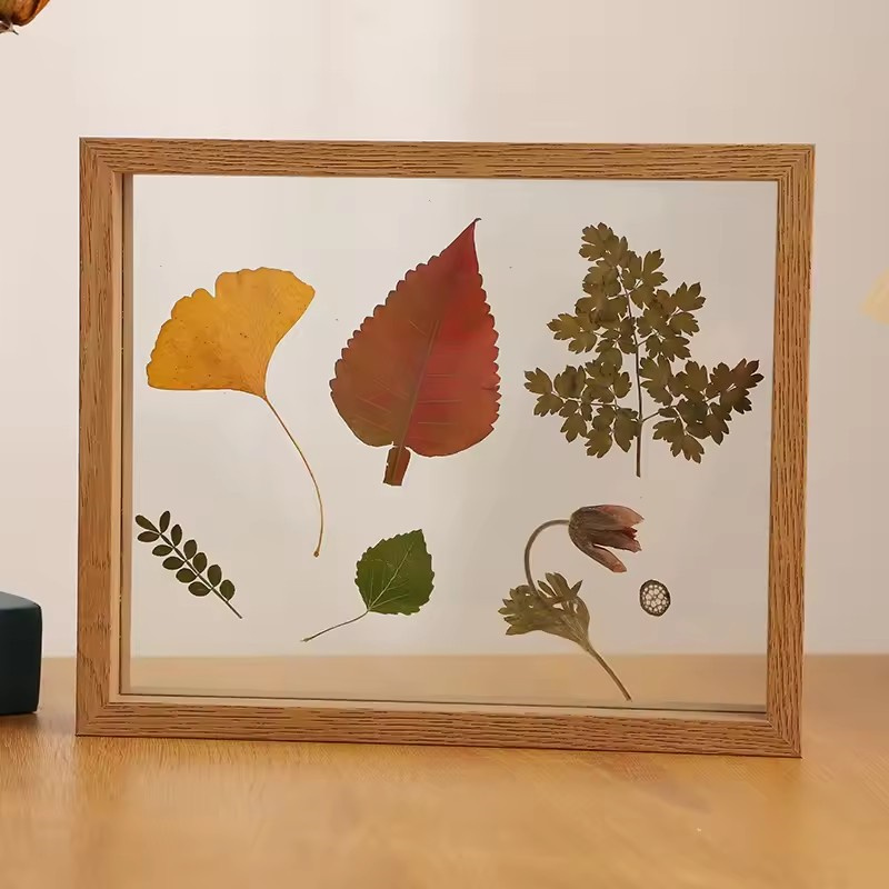 Double-sided Insert Acrylic Creative Transparent Leaf Specimen Display Photo Frame Home Decoration H260306
