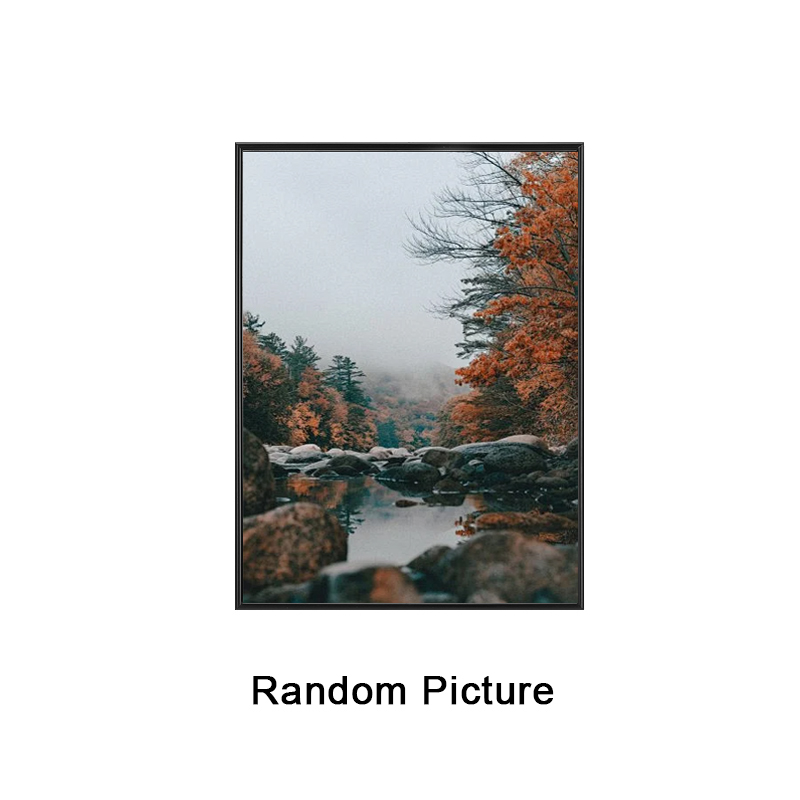 1pc Photo Frame, Black, Picture Frame Wall And Tabletop Display, for Desktop Art Decor, For Birthday Party Decor H260306