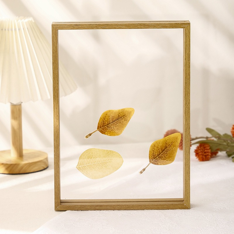 Double-sided Insert Acrylic Creative Transparent Leaf Specimen Display Photo Frame Home Decoration H260306
