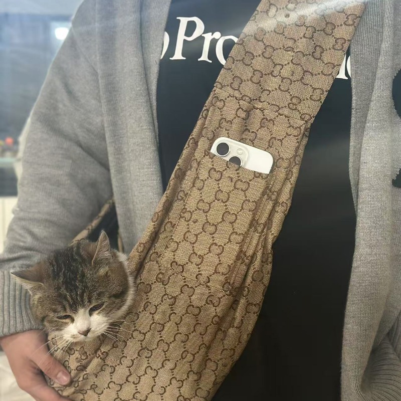 Trendy Dual-Sided Portable Dog Carrier - Compact Shoulder Bag for Small Pets