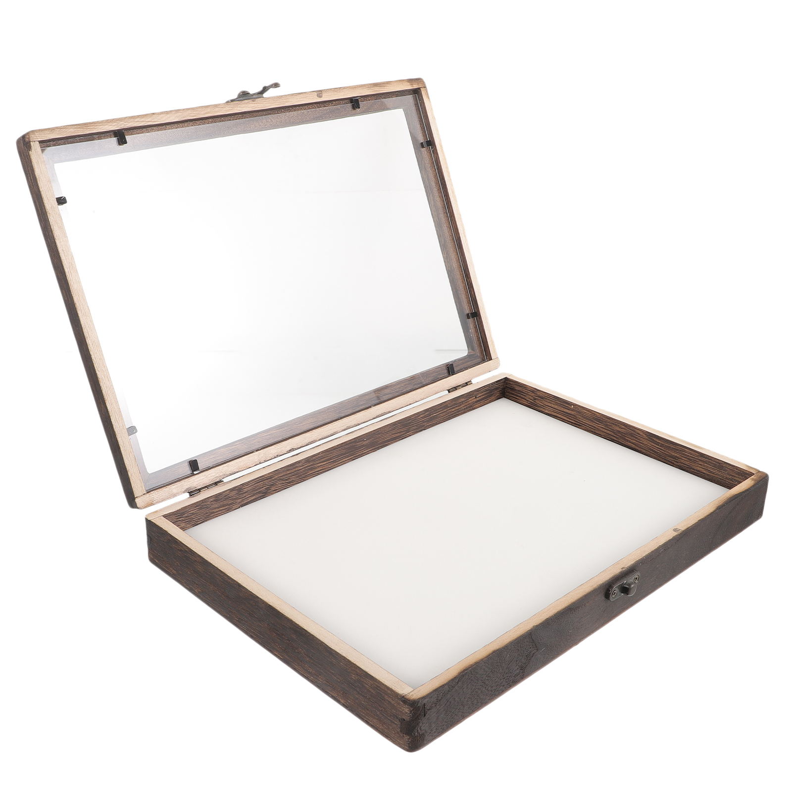 Butterfly Specimen Display Box Butterflies Case Dried Flowers Insect Holder Photo Frame H260306