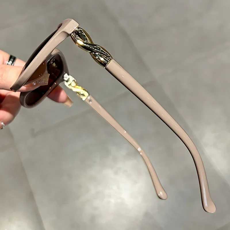 Fashion Cat Eye Sunglasses Wen Brand Designer Vintage Sunglasses 2025 Lady Retro Sunglasses W250709