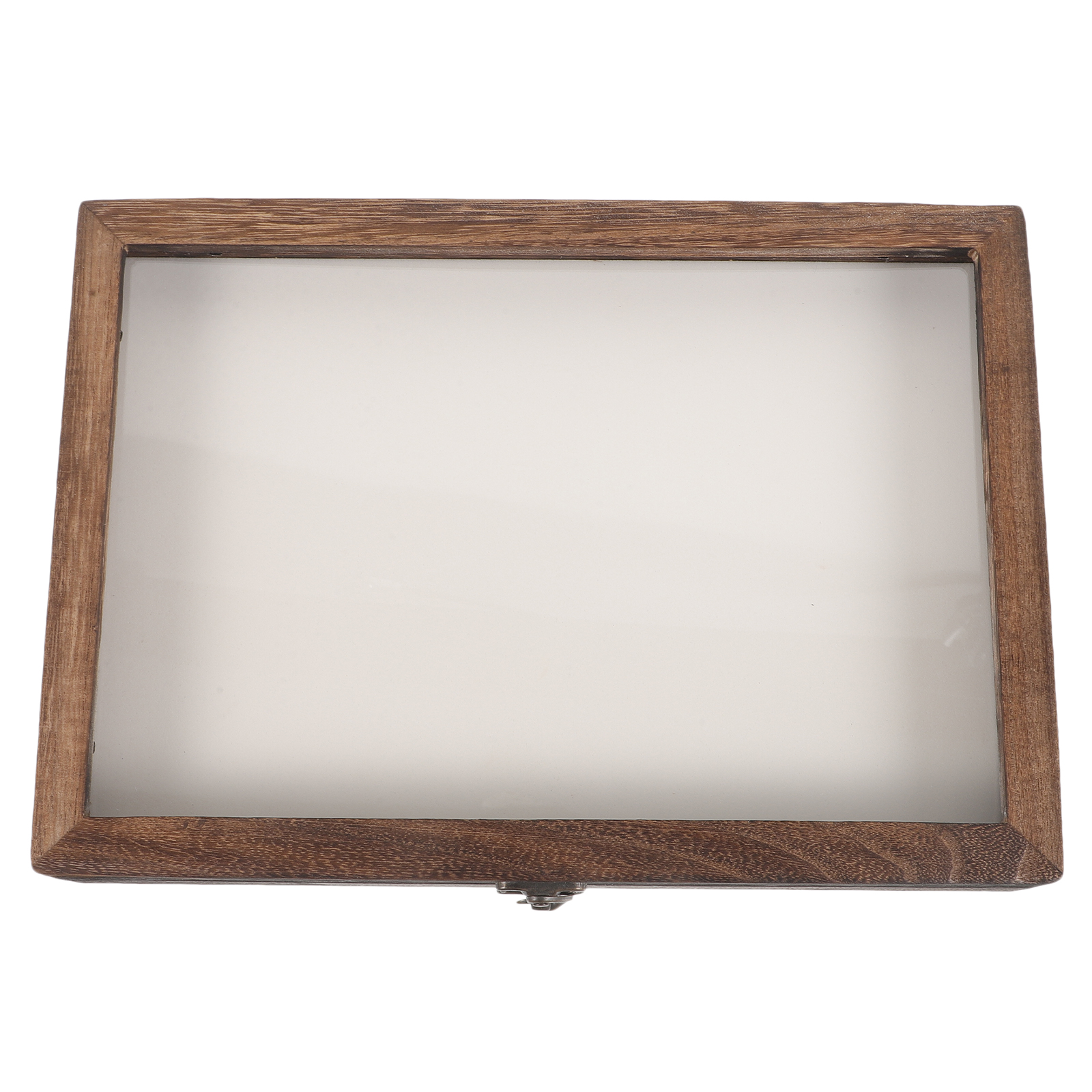 Butterfly Specimen Display Box Butterflies Case Dried Flowers Insect Holder Photo Frame H260306