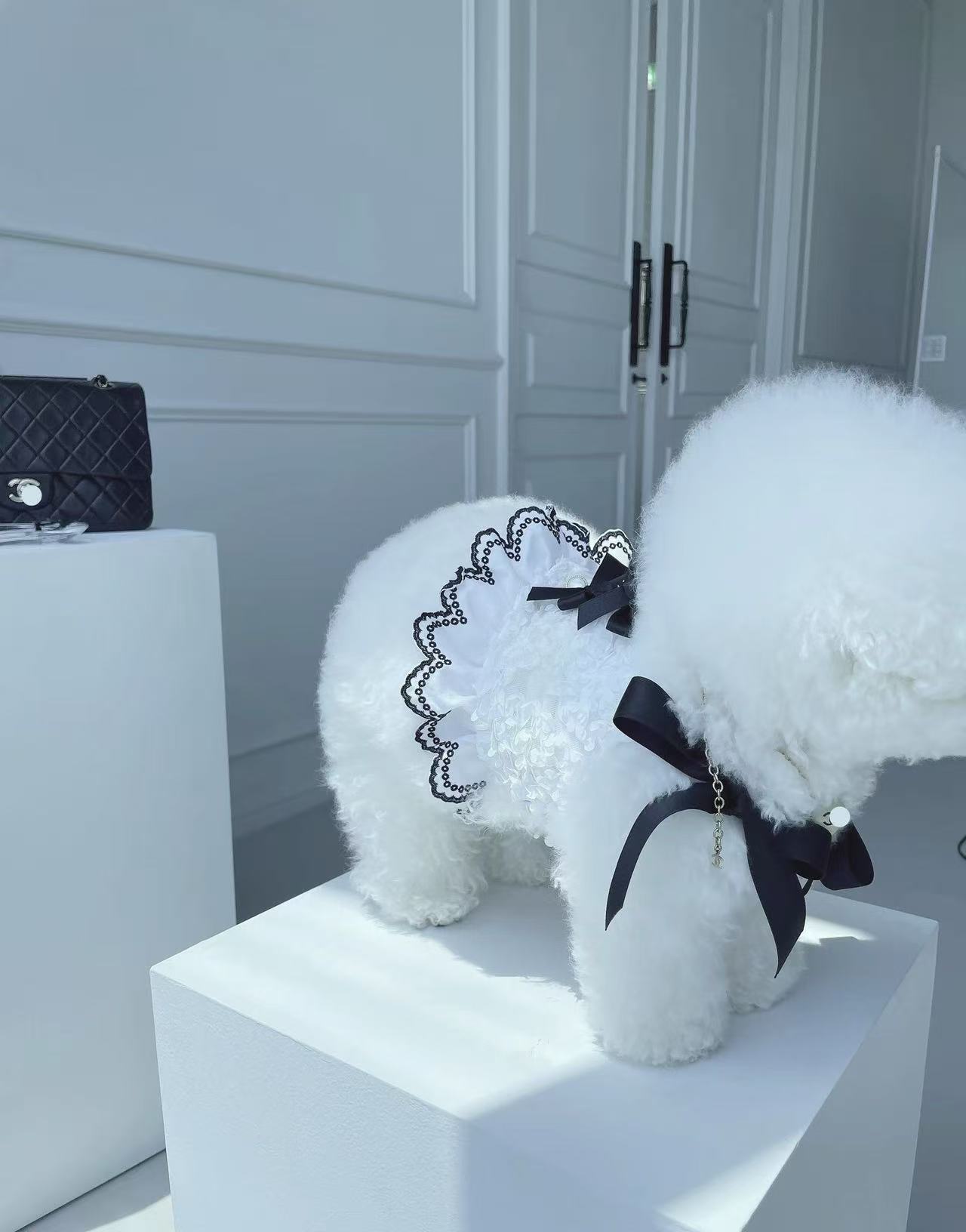 T670 Suspender skirt summer dog cat bichon teddy Yorkshire bichon Pomeranian pet clothes