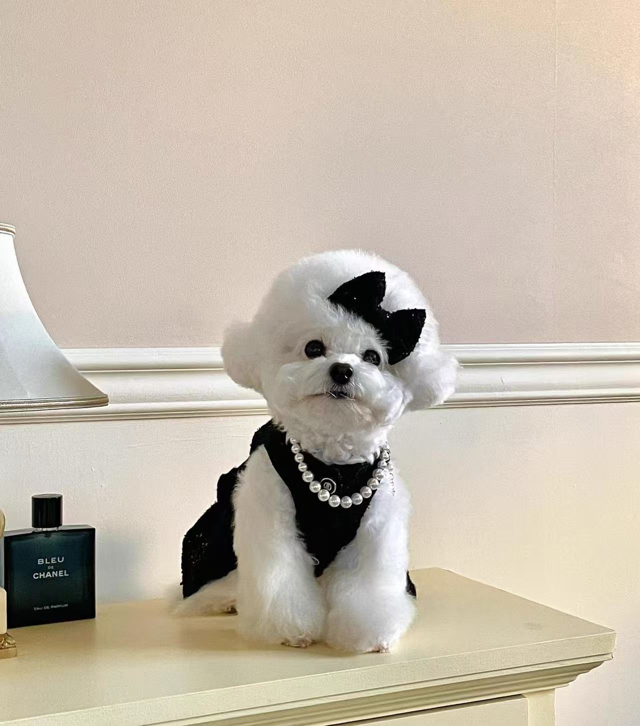 T682 Princess dress Bichon Teddy Maltese Schnauzer Dog Cat Pet Clothes