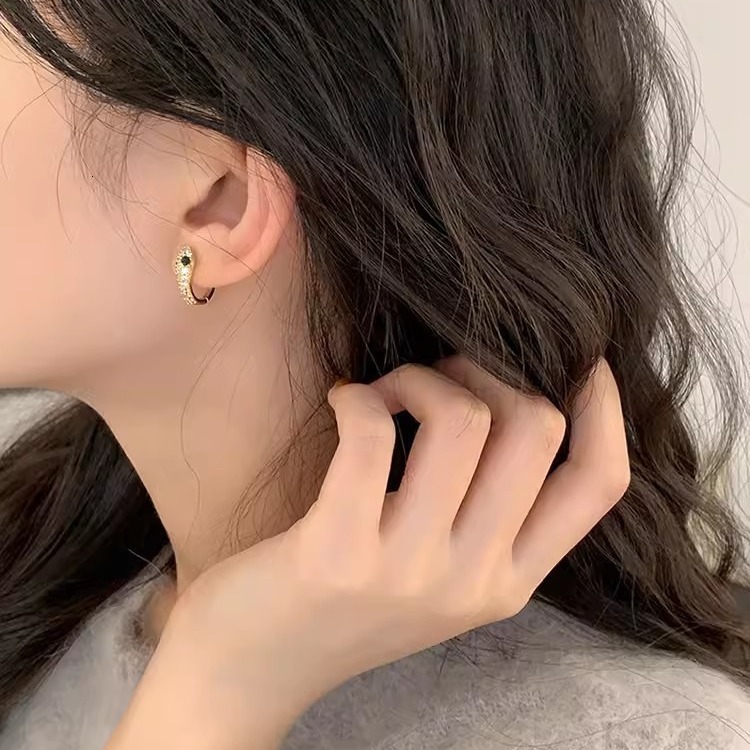 S925 silver personalized serpentine Earrings womens fashion micro inlaid zircon bright earrings hip hop Earrings 250710