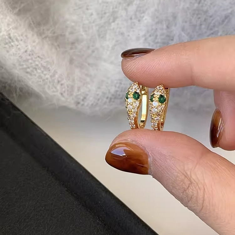 S925 silver personalized serpentine Earrings womens fashion micro inlaid zircon bright earrings hip hop Earrings 250710