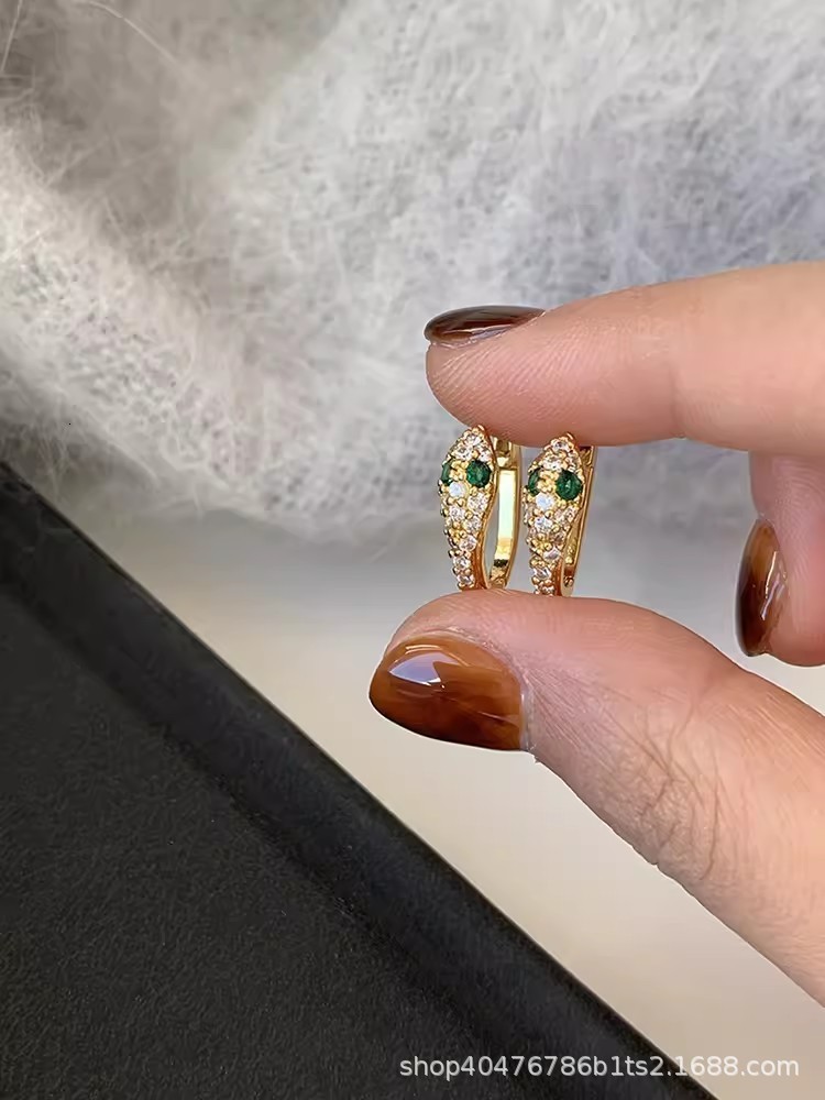 S925 silver personalized serpentine Earrings womens fashion micro inlaid zircon bright earrings hip hop Earrings 250710