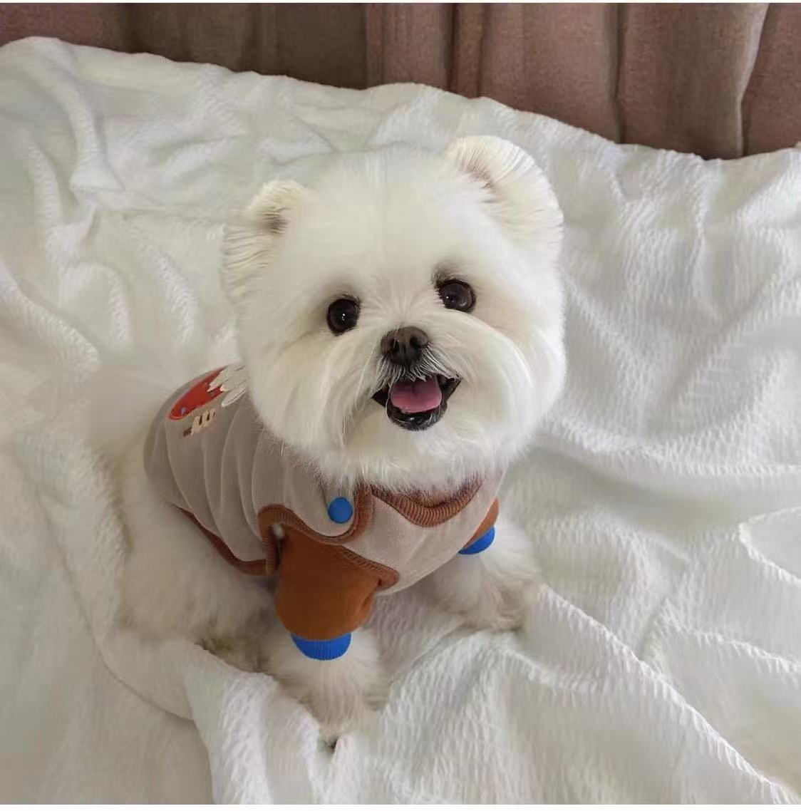T678 Vest warm coat Teddy Bichon French Bulldog Schnauzer dog cat winter clothes