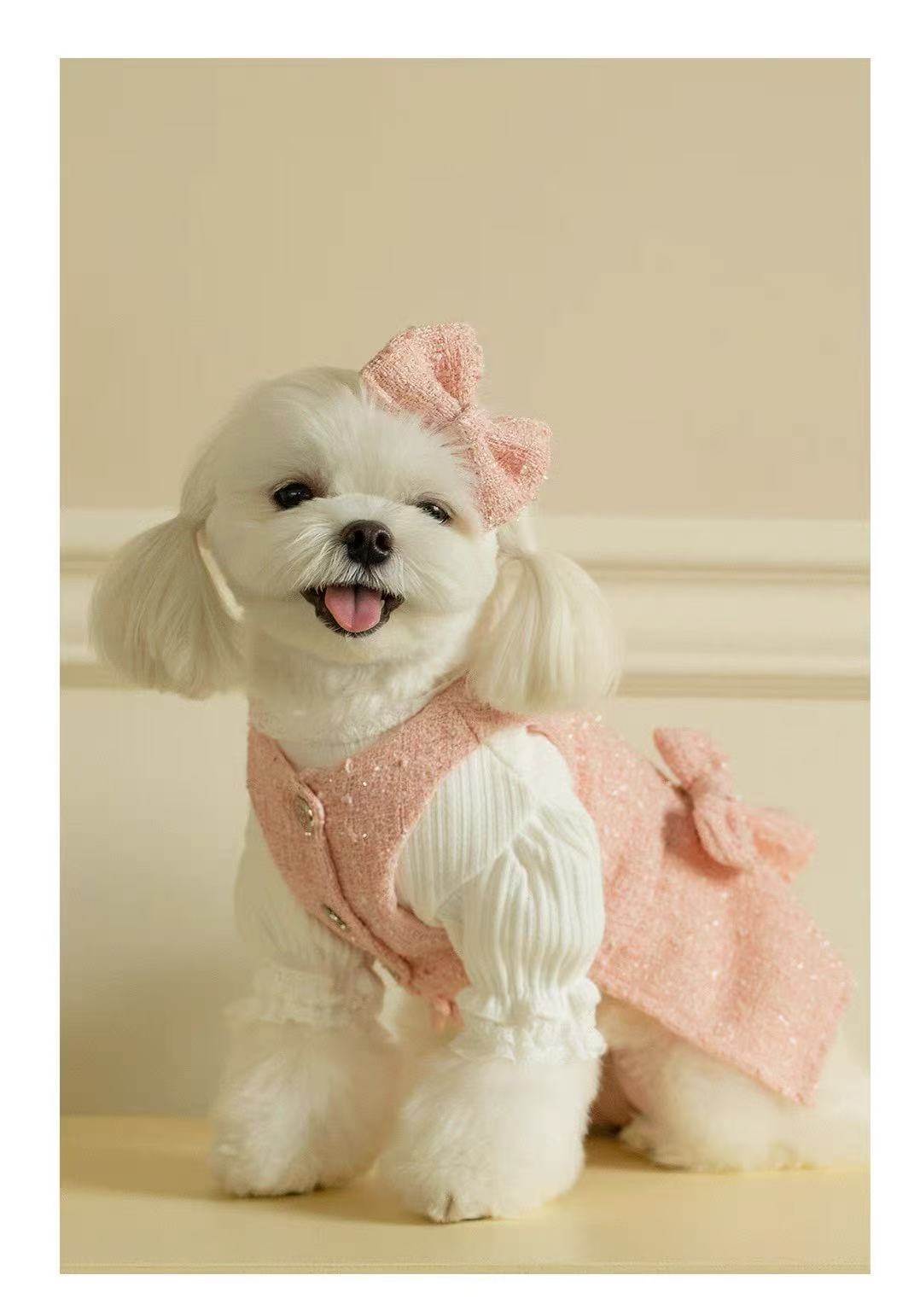 T682 Princess dress Bichon Teddy Maltese Schnauzer Dog Cat Pet Clothes