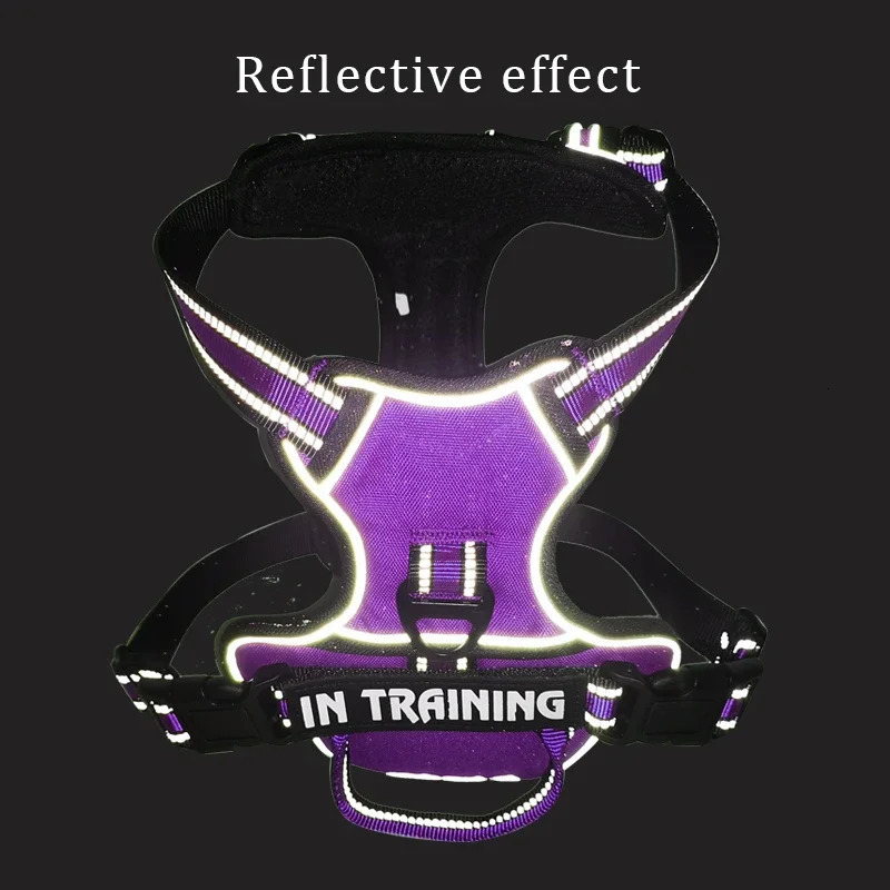 Nylon Dog Harness Vest Reflective Dog Harness Personalized Breathable Adjustable Pet Harness Leash For Small Medium Large Dogs 250716