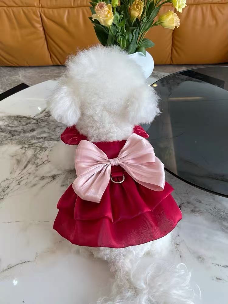 T689 New Korean elastic lace bottoming shirt Teddy Bichon dog cat inner wear clothes