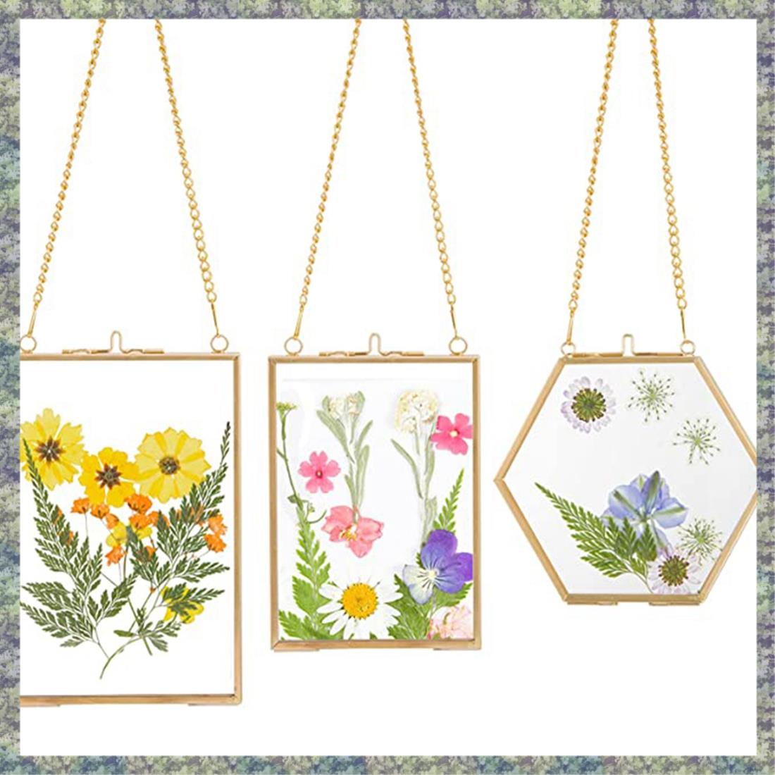 WON 3 Packs Pressed Flowers Frames- Golden Hanging Glass Picture With Chain Floating DIY Artwork Display Frames H260306