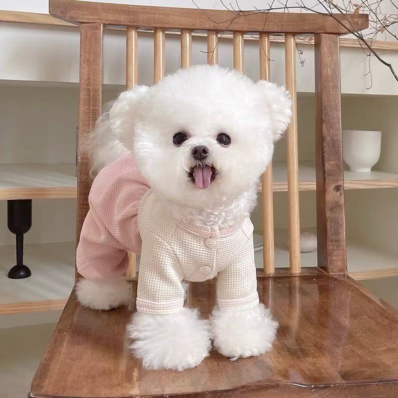 T692 Pet clothes autumn and winter new waffle button pumpkin pants Teddy Bichon dog cat four-legged pants