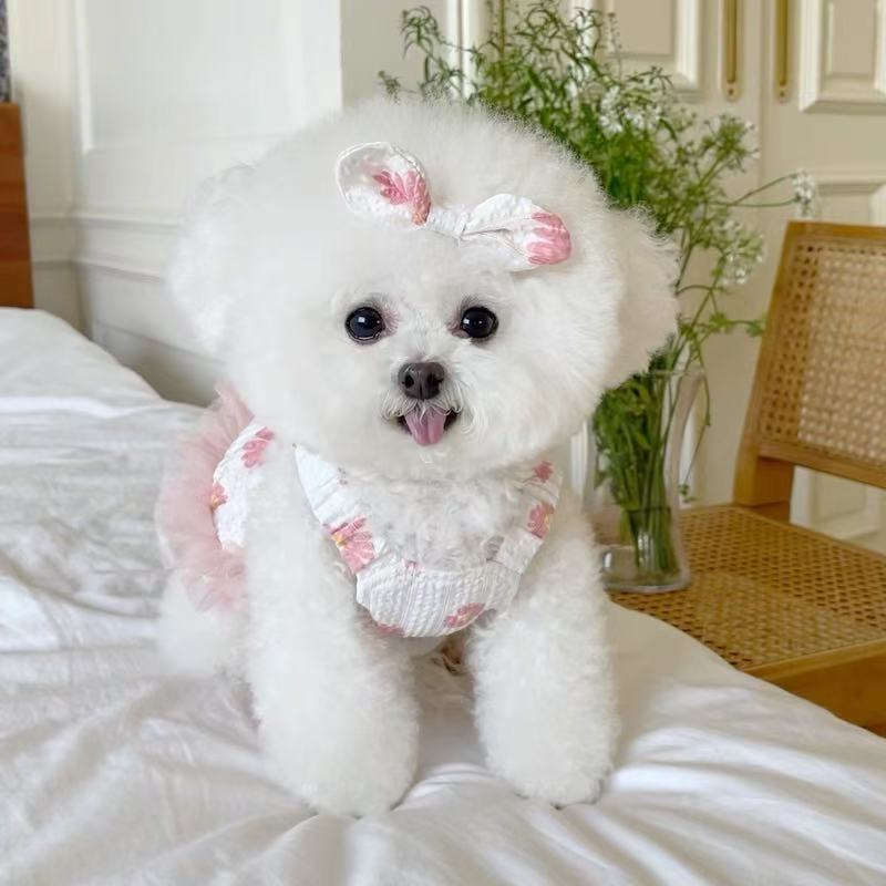 T691 Pet clothes spring and summer new fresh floral lace suspender skirt Teddy Bichon dog cat thin clothes