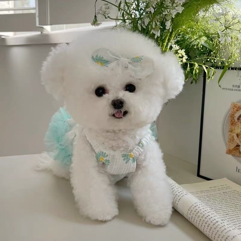 T691 Pet clothes spring and summer new fresh floral lace suspender skirt Teddy Bichon dog cat thin clothes