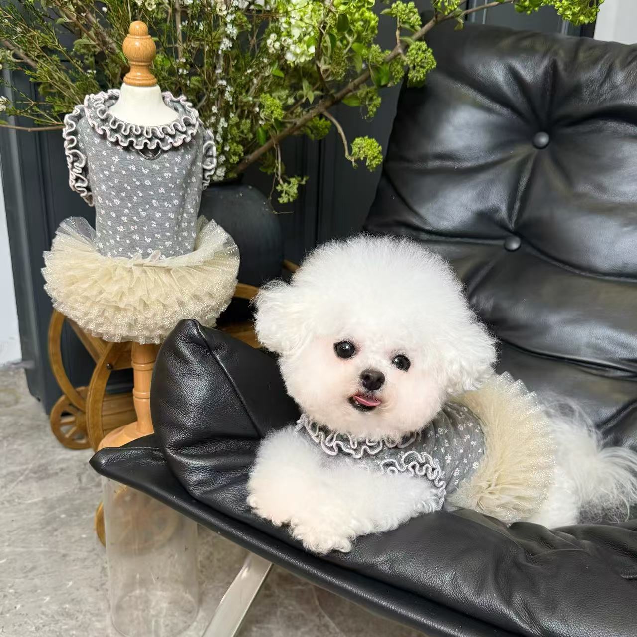 T693 Original pet clothes floral vest tutu dog cat thin ballet princess skirt