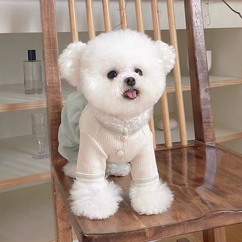 T692 Pet clothes autumn and winter new waffle button pumpkin pants Teddy Bichon dog cat four-legged pants