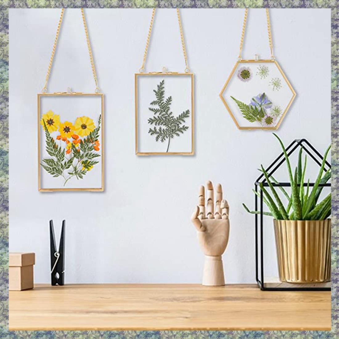 WON 3 Packs Pressed Flowers Frames- Golden Hanging Glass Picture With Chain Floating DIY Artwork Display Frames H260306