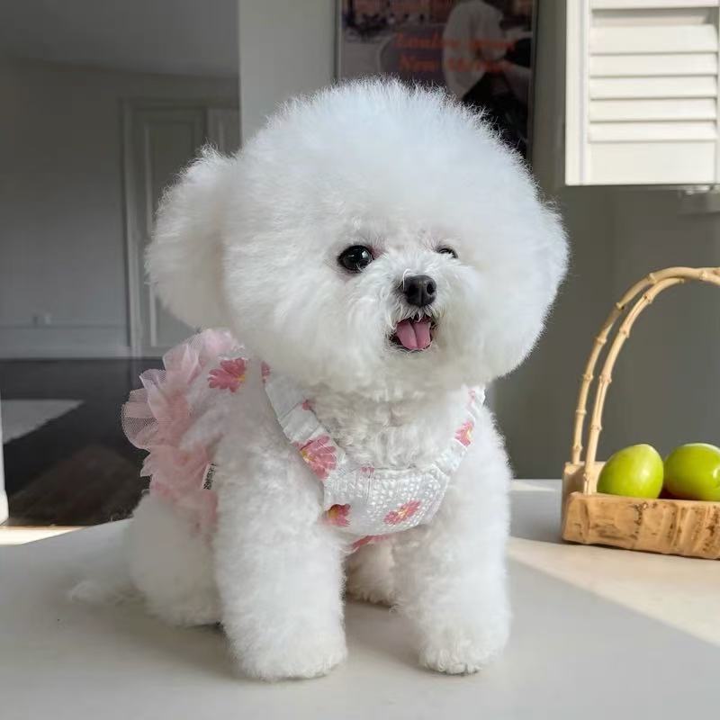 T691 Pet clothes spring and summer new fresh floral lace suspender skirt Teddy Bichon dog cat thin clothes