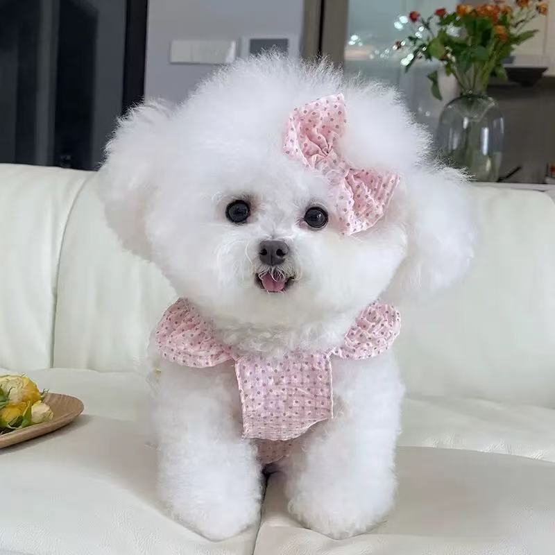 T695 Pet clothes summer new color contrast polka dot traction buckle princess dress Teddy Bichon dog cat thin clothes