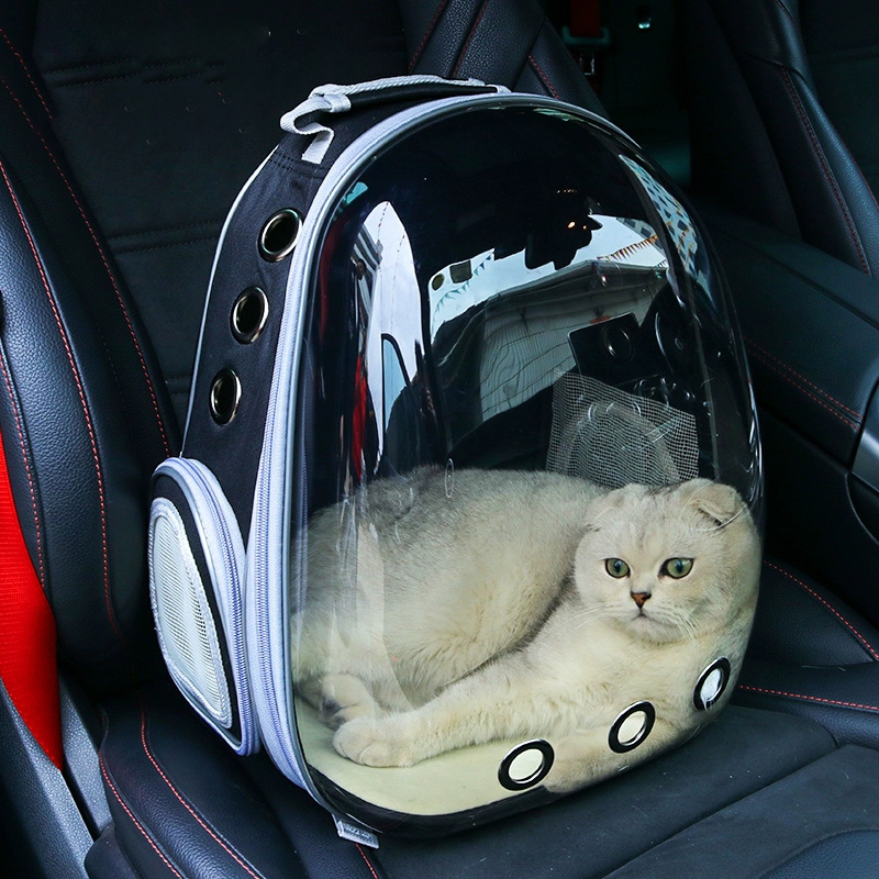 Beni Pet Breathable Transparent Shell Cat Backpack - Portable Double Shoulder Pet Carrier