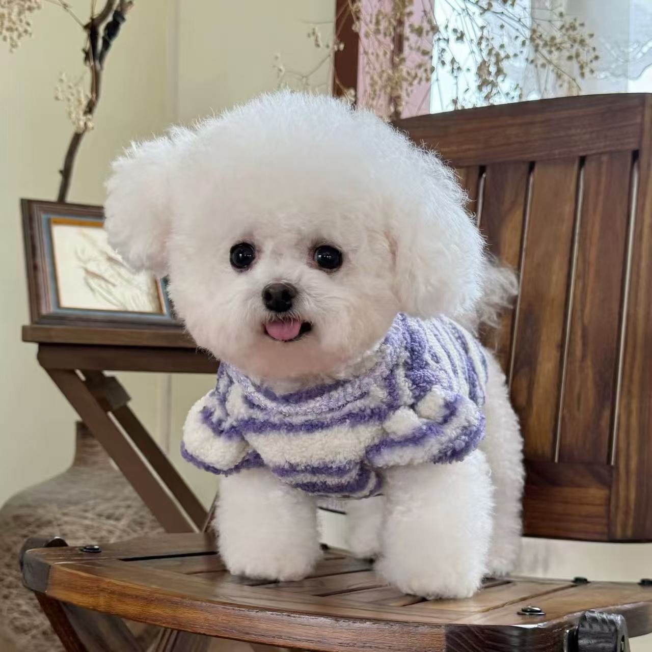 T694 Pet clothes autumn and winter new velvet striped cardigan vest for dogs and cats traction buckle coat