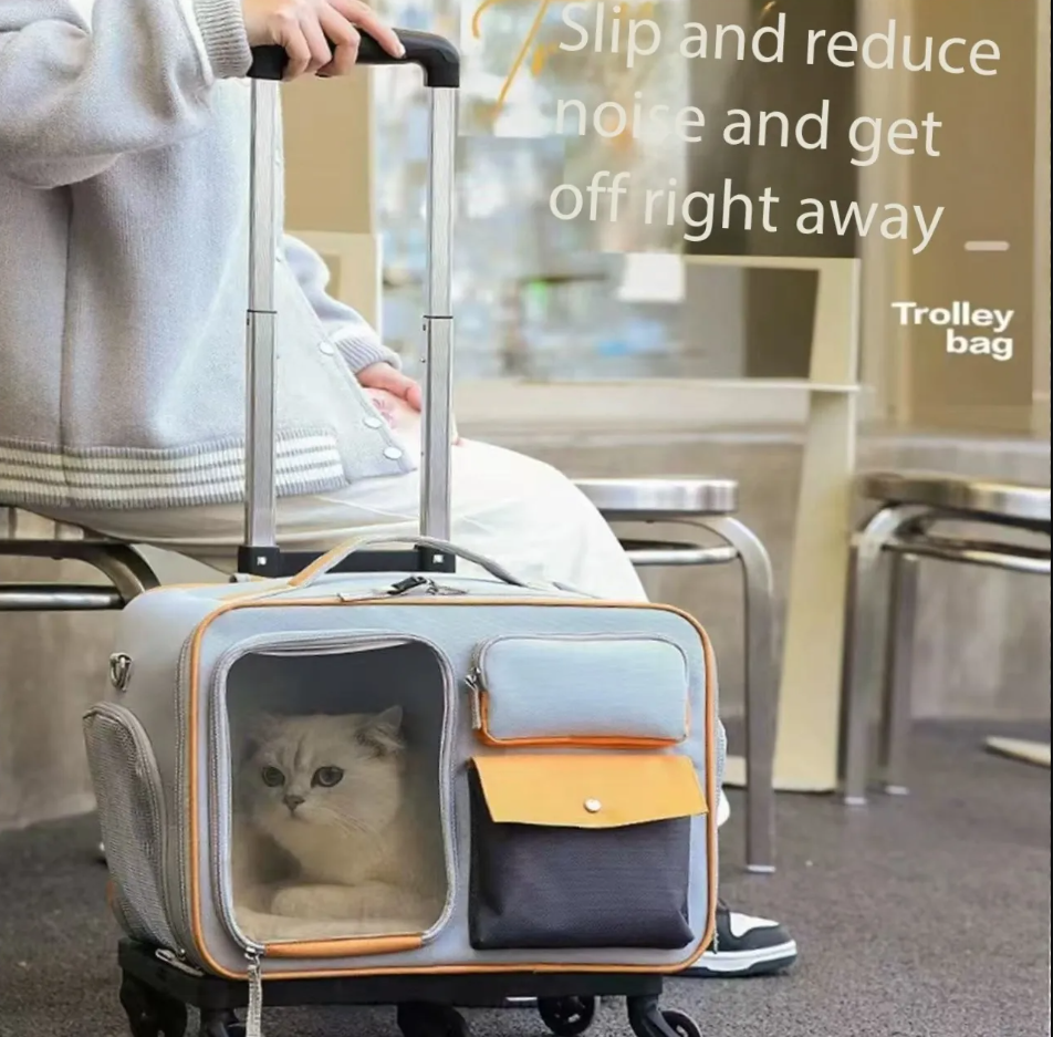 Pet rolling suitcase portable large-capacity cat bag stress-resistant cat and dog bag small dog luggage box outdoor pet backpack