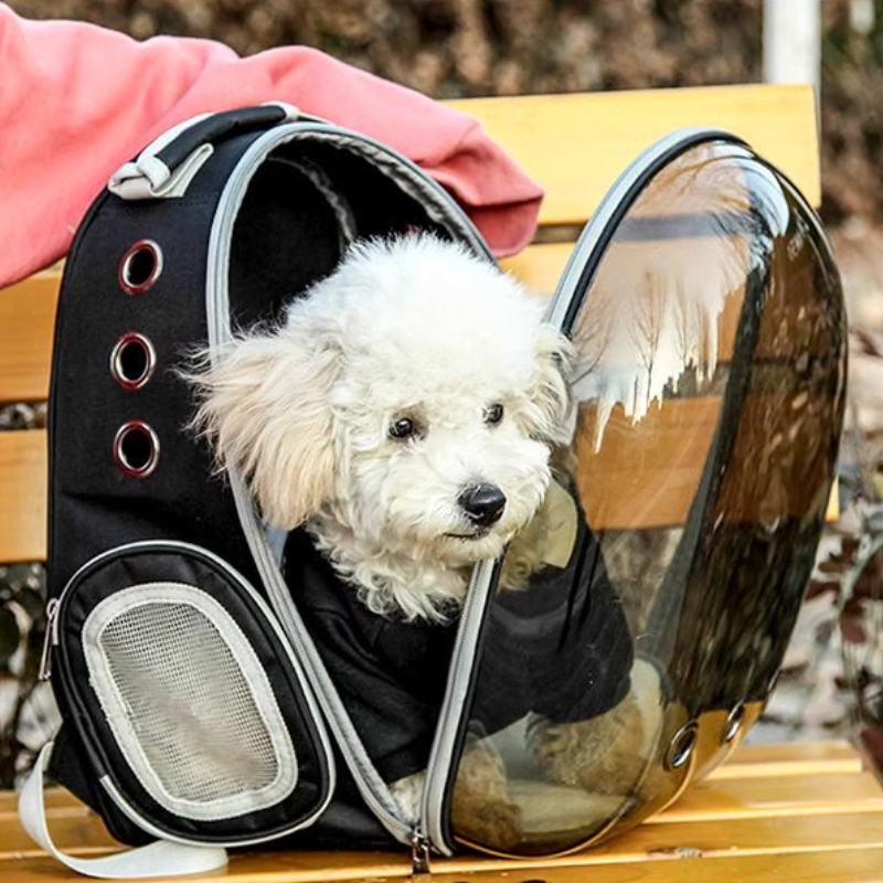 Beni Pet Breathable Transparent Shell Cat Backpack - Portable Double Shoulder Pet Carrier