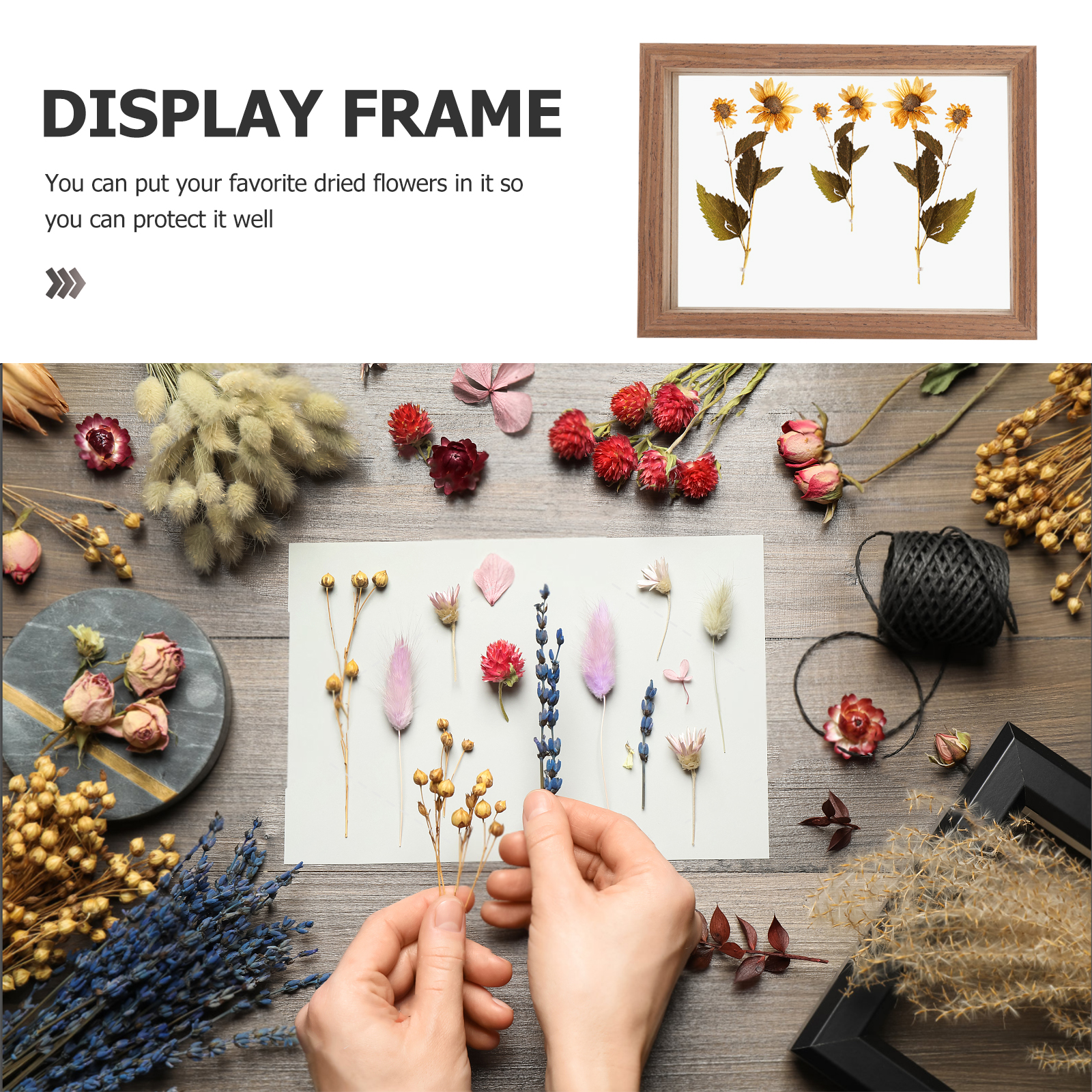 Double Sided Glass Photo Frame 7 Inch Dried Flower Specimen Stand Pressed Frames Picture Display HomeDecoration H260306