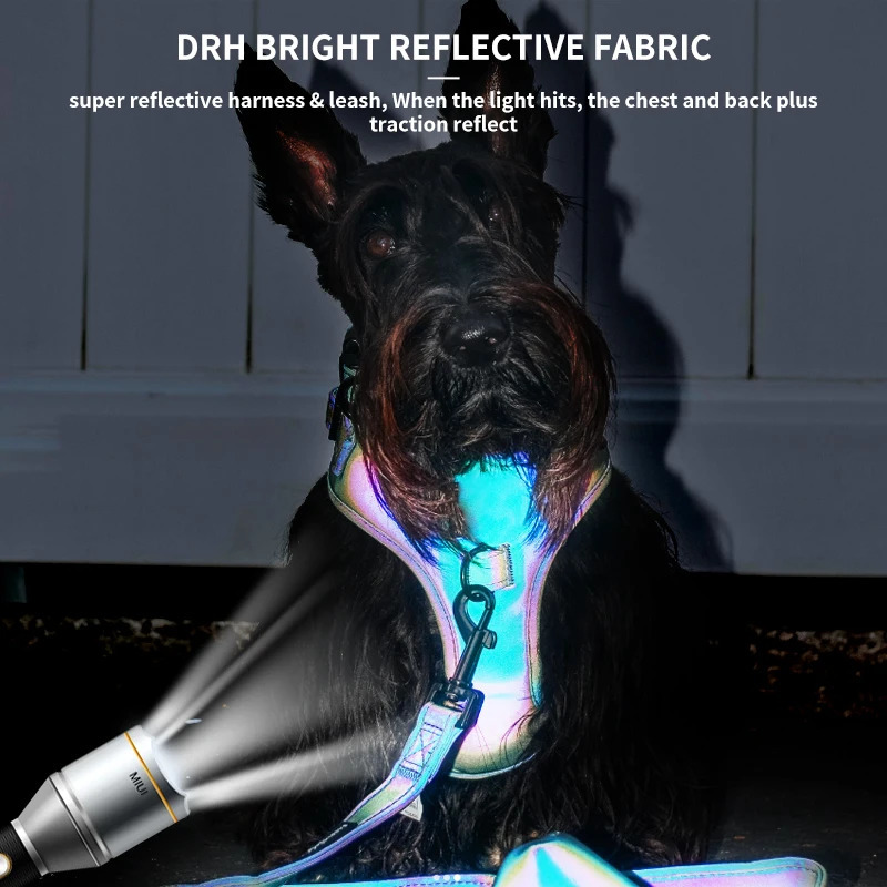 OKKPETS Dog Harness And Leash Set Fabric Reflective For Wedding And Party Dresses Slightly Waterproof 250709