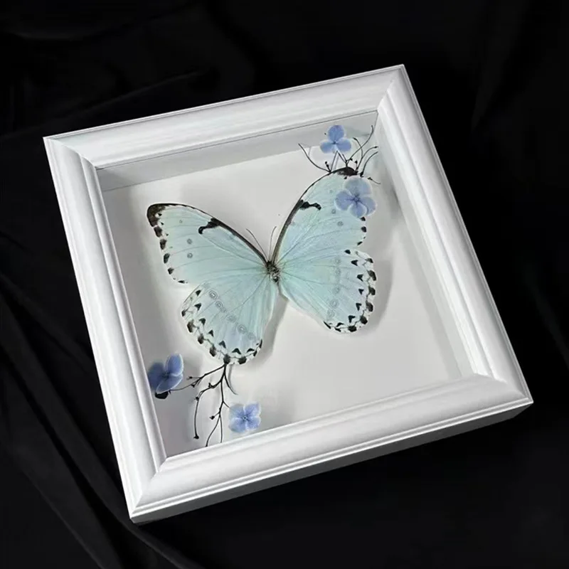 Butterfly Specimen Shadow Box Handmade 2cm Hollow Insect Display Case for DIY Decoration Picture Frame Home Decor H260306