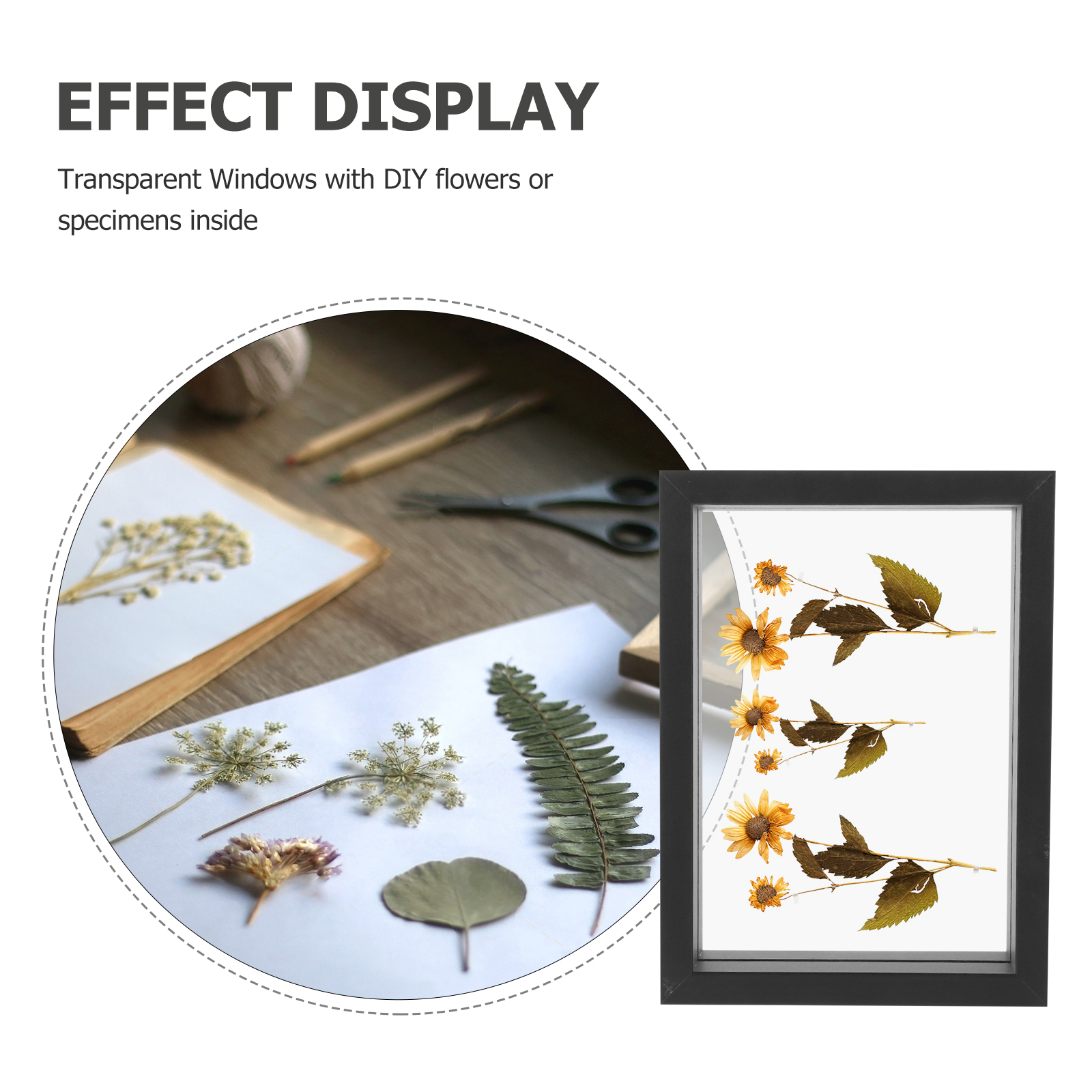 Double Sided Glass Photo Frame 7 Inch Dried Flower Picture Frames Display Pressed Flowers Specimen Home Decor H260306
