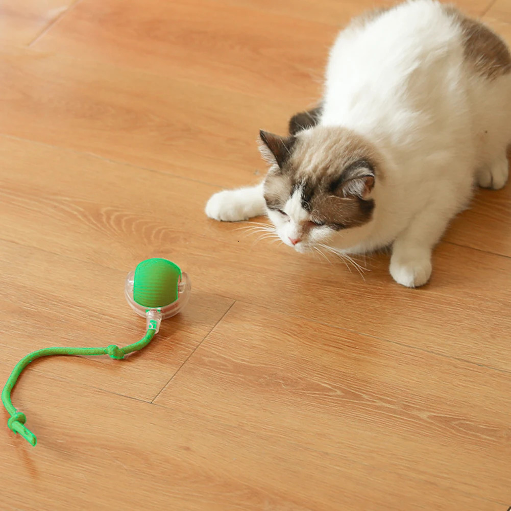 2PC/1PC Cat Interactive Ball Toys Automatic Rolling Ball Rechargeable Self Rotating Ball Fast Rolling Ball for Indoor Cat Kitten 250708