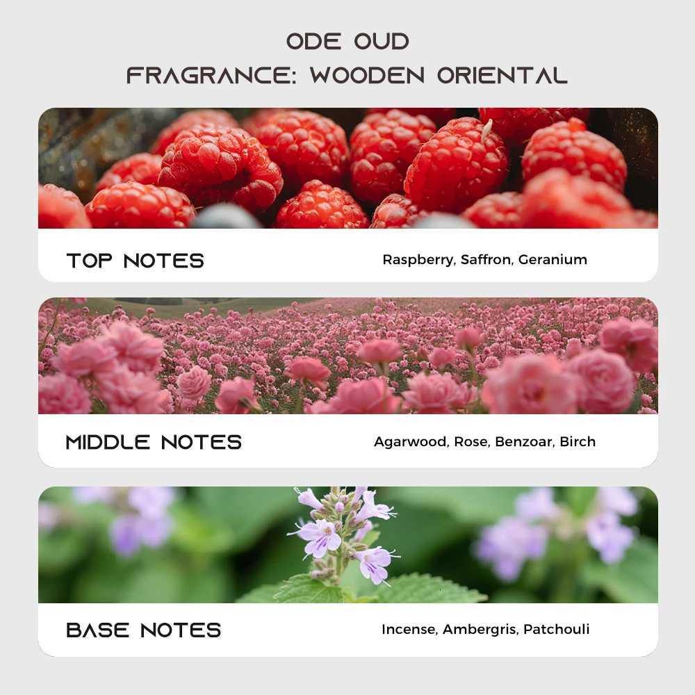 100ml Ode Oud Perfume Wood Oriental Tone Long-lasting Fragrance Unisex Perfume Body Spray Rich Arabic Perfumes Scent Gift W250712